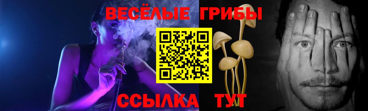 Джанкой  Галлюциногенные грибы GOLDEN TEACHER  Вход с VPN 
